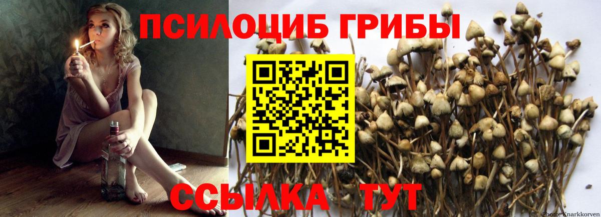 Лабытнанги  Псилоцибиновые грибы MAGIC MUSHROOMS  Вход с VPN 